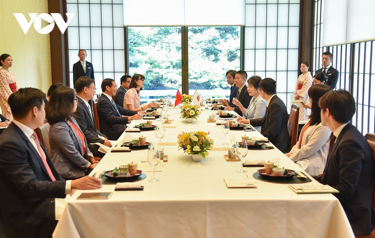 Vietnam-Japan Cooperation Committee convenes 12th meeting